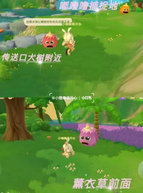 摩尔庄园怎么与拉姆一起玩耍?与拉姆玩耍任务流程攻略图片3