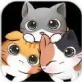猫猫生活
