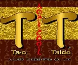 o Taido游戏