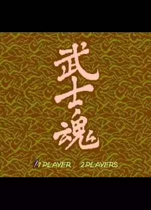 FC侍魂英文版(含rom)