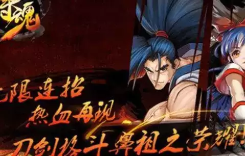 侍魂5特别版(含rom)