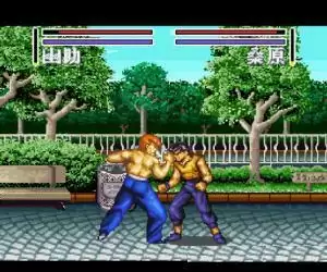 幽游白书完美中文版_幽游白书完美中文版游戏