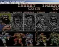 天命勇士中文版_天命勇士中文版移植游戏