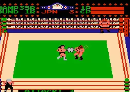 组合摔跤安全无毒绿色版游戏