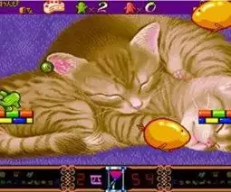 街机仙人掌兄弟游戏