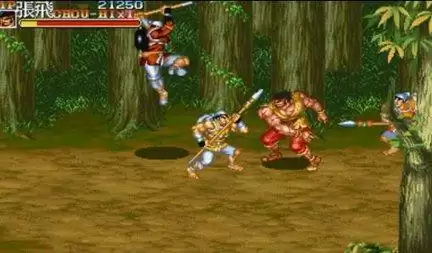 三国志Ⅱ赤壁之战狱版游戏