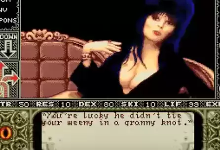 艾薇拉完美汉化中文版游戏