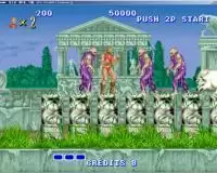 街机模拟器游戏兽王记直装版