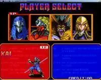 街机游戏变身忍者中文绿色版rom