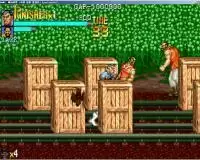 街机惩罚者未加密版模拟器游戏