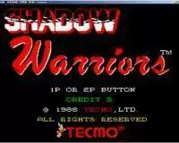 街机模拟器游戏忍者龙剑传完整存档版