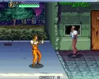 街机午夜杀生经典版