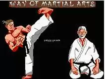 【武术之道直装版