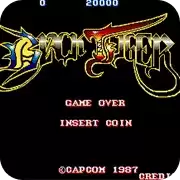 街机模拟器游戏黑暗之虎