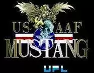 野马战机街机版游戏