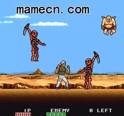 街机三勇士的冒险 日版游戏