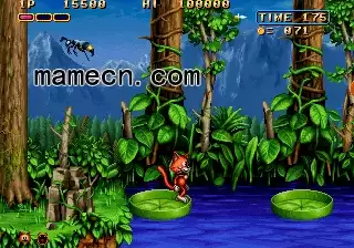 街机神奇猫的冒险 日版游戏