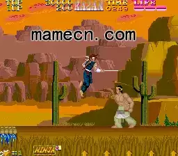 街机伊贺忍术传 五神之书游戏