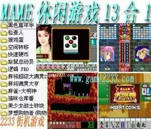 mame休闲游戏13合1(含模拟器)游戏