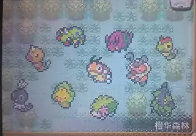 口袋妖怪银雪白熊宝石复刻721新年版存档中文免安装版