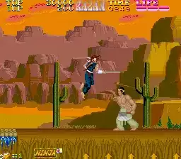 街机伊贺忍术传五神之书