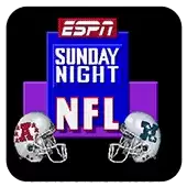 【实况橄榄球汉化版