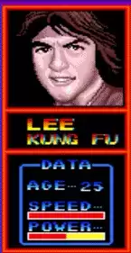 街机模拟器游戏沉默之龙rom(日版)