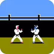 FC南北拳单机版