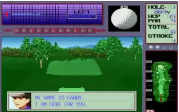 街机高尔夫球乡间俱乐部轻松版