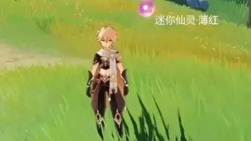 原神迷你仙灵多久复刻一次