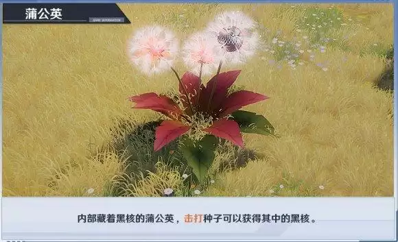 《幻塔》大世界解谜类型大全