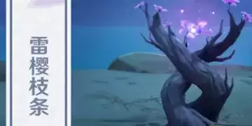 《原神》稻妻抵御雷祸方法