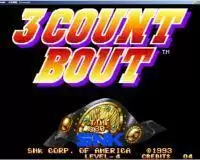 火线摔跤街机版移植游戏