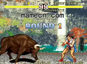 街机游戏 斗士的历史 卡洛夫的复仇