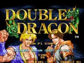 双截龙格斗移植绿色版游戏