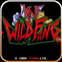 街机游戏 野蛮骑士 Wild Fang