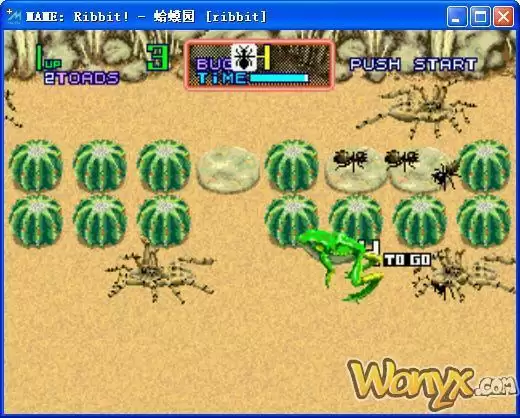 蛤蟆园青蛙的故事