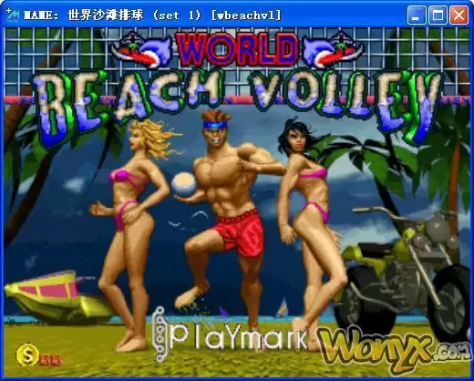 世界沙滩排球大赛