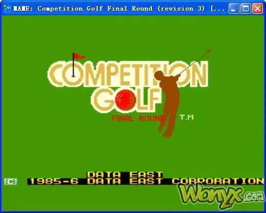 高尔夫球大赛：最后一杆