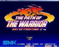 街机龙虎之拳3斗士之路裸体版模拟器游戏