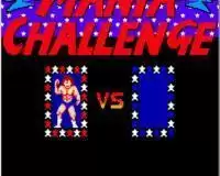 街机游戏疯狂摔跤2傻瓜包rom