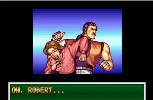 【龙虎之拳2roms