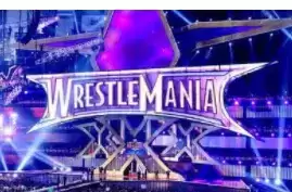 街机世界联合摔跤狂热摔跤赛