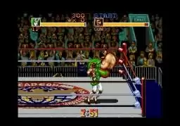摔跤霸王(美版)