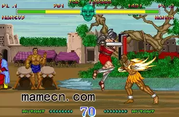 街机游戏 世纪战士