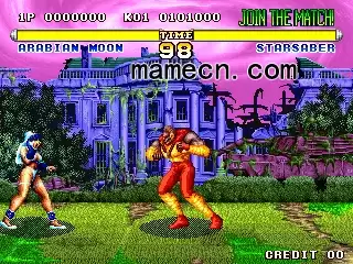 街机游戏 完美战士