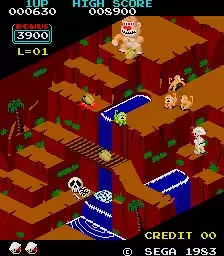 街机游戏 刚果阿古