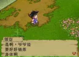 龙珠DS中文HACK修改版游戏