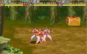 【三国志2三美版