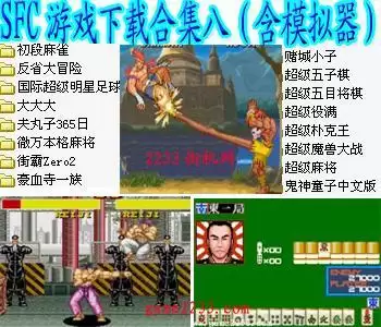 SFC游戏合集八